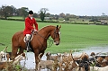 hunt
