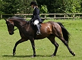 savanna3